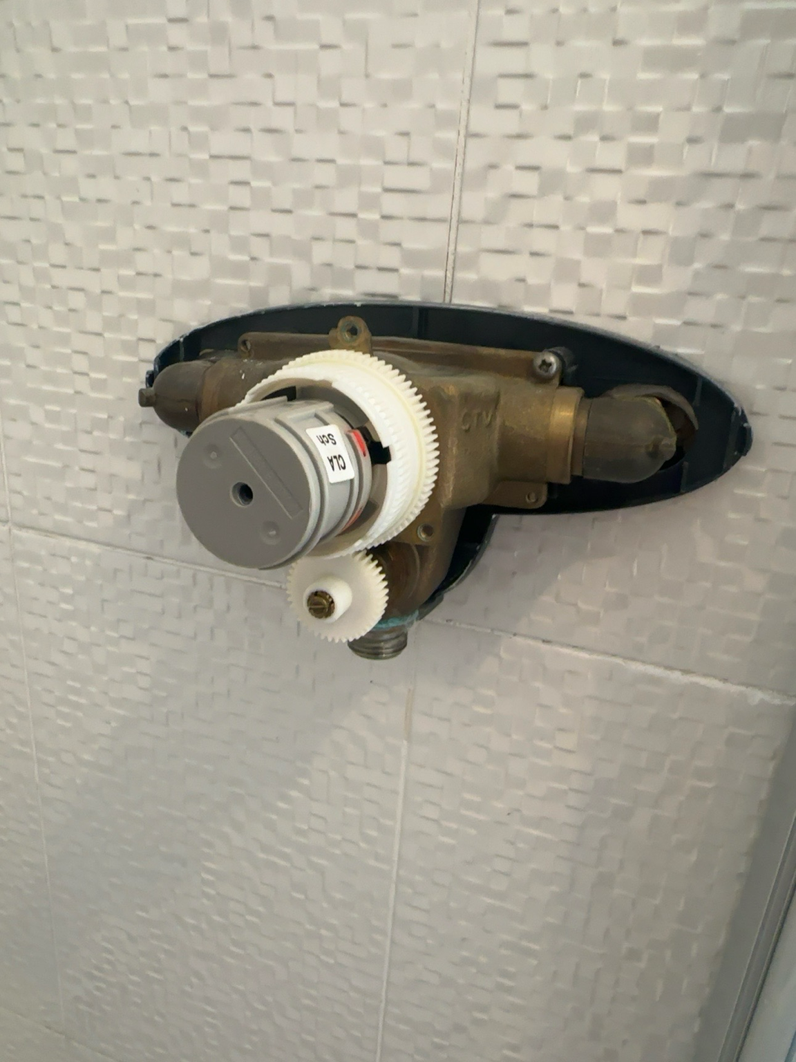 Thermostatic Shower Valve Service